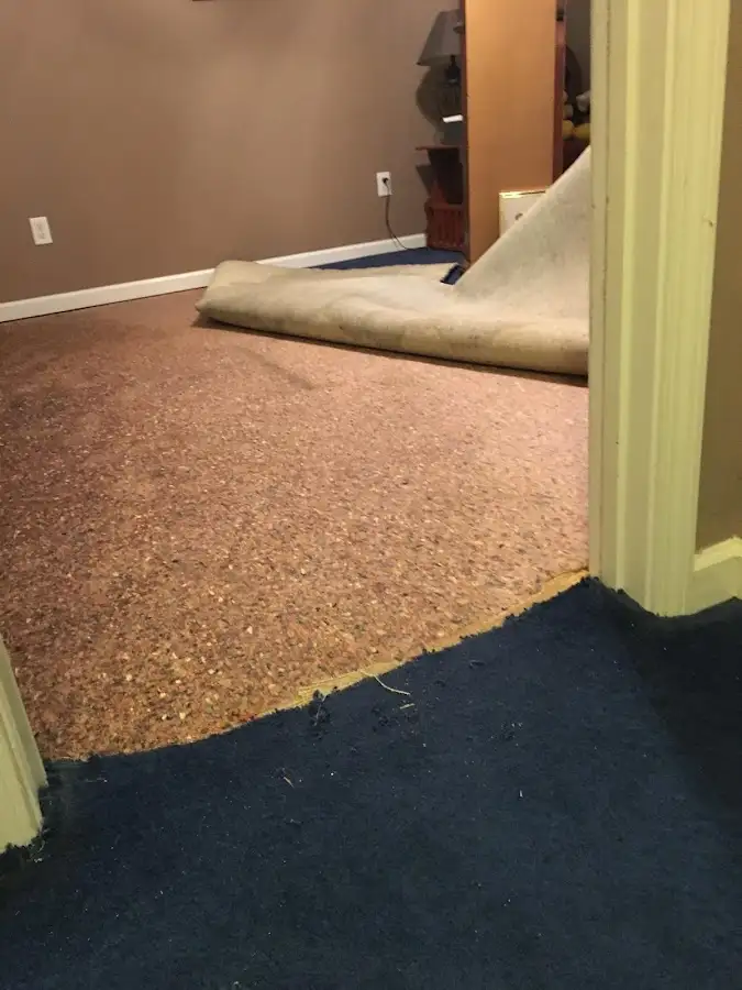 Carpet pad removal revealing water damage during Drying & Dehumidification in Hayward