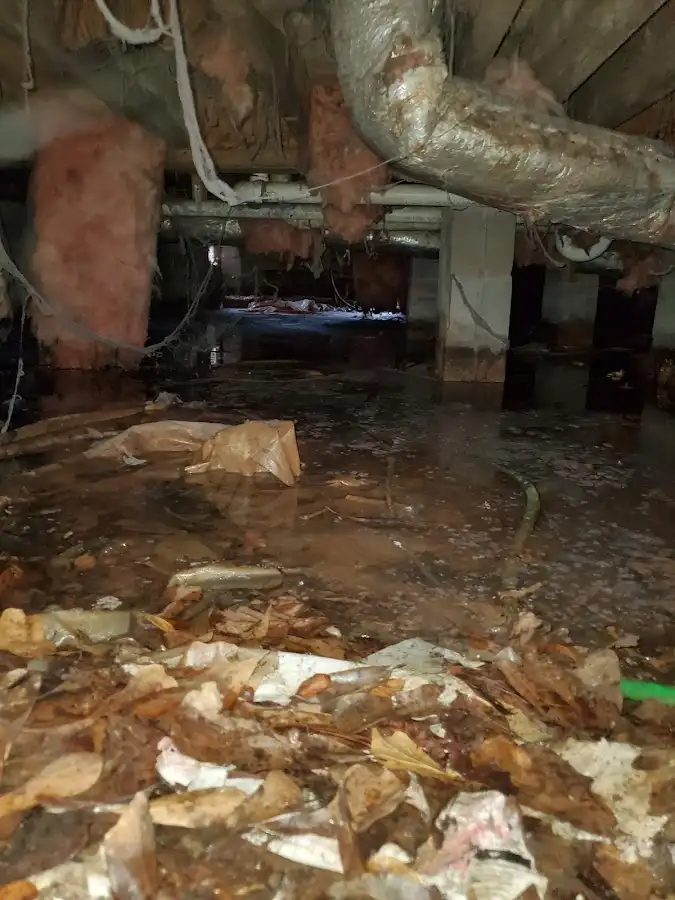 Crawl space flood assessment for Leak Detection & Repair in Hayward